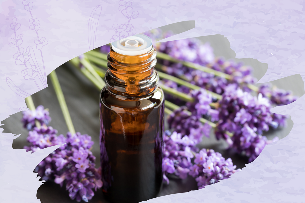 The Power of Essential Oils: Unleashing Nature's Bounty for Holistic Wellness