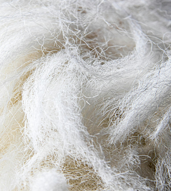 Raw Materials