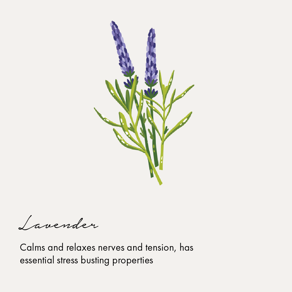 Lavender to release stress
