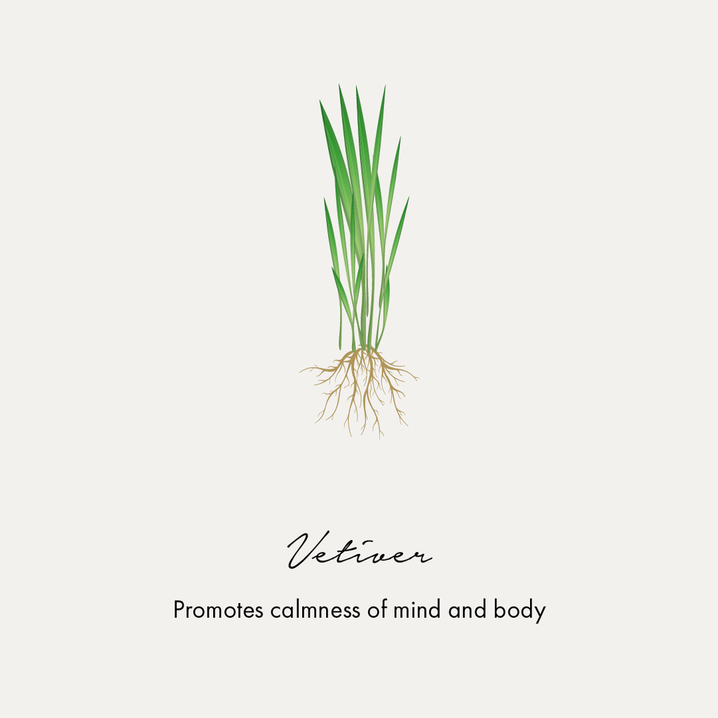 Vetiver for calm mind and body
